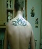 my tat