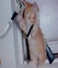 Don't mess with my pussy lol