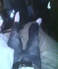 ~# hey i got my new shoes on....#~