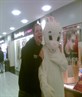 Alan and the bunny