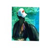 me n dolphin!!