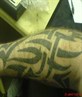 tribal/keltic