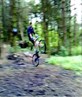 Action Shot