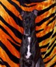 ma mad dog