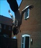 im better than spider man