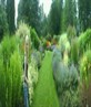 bressingham gardens...amazing