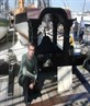 me by the bell of HMS Victory