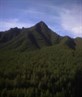 Where i walk my dogs. My backyard more or les