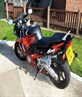THE BEAST!