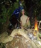 wild camping