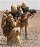 army