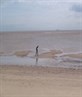 Lifes A Beach...