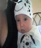 lil dalmation awww