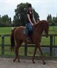 Me and my horse Hugo