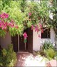 the front door!