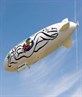 my Zepplin