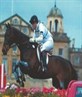 horsey