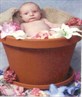 15 days old