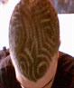 maze head
