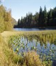 Scotland at its best at Loch Ard