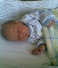 steves nephew, so beautiful!