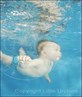 x hugs underwater x