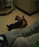 mylo6