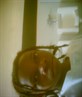 pic (2)