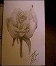 My drawing