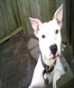 my baby (lola)