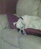 my big baby (patch)