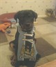 baby cain