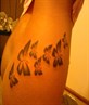 my new tattoo!!!