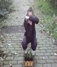 mahir