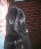 My dog mushka. and a really blagged me.