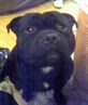 Monty1