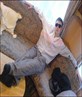 chilling again