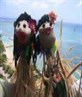 Meg and Dave on holiday