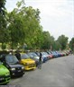Mazda Gathering