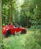 Clumber Park