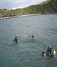 Divin At Plymouth