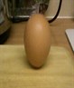 Egg!!