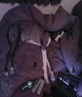 Can i av my bed bak!