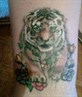 my lil big tiger on my leg awwww