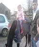 freya's pony
