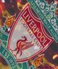 You'll Never Walk Alone!!!!