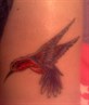 My tattoo on my Leg