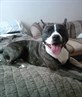 my charl a yr on lol