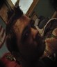 new shyt