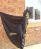 wicked witch